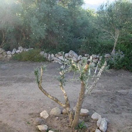 Salva Di Levo Villa